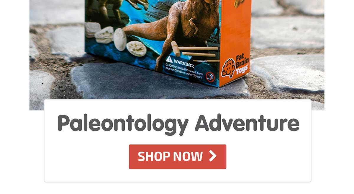 Paleontology Adventure: Diplodocus Tyrannosaurus Trceratops - 51% Off! - Shop Now