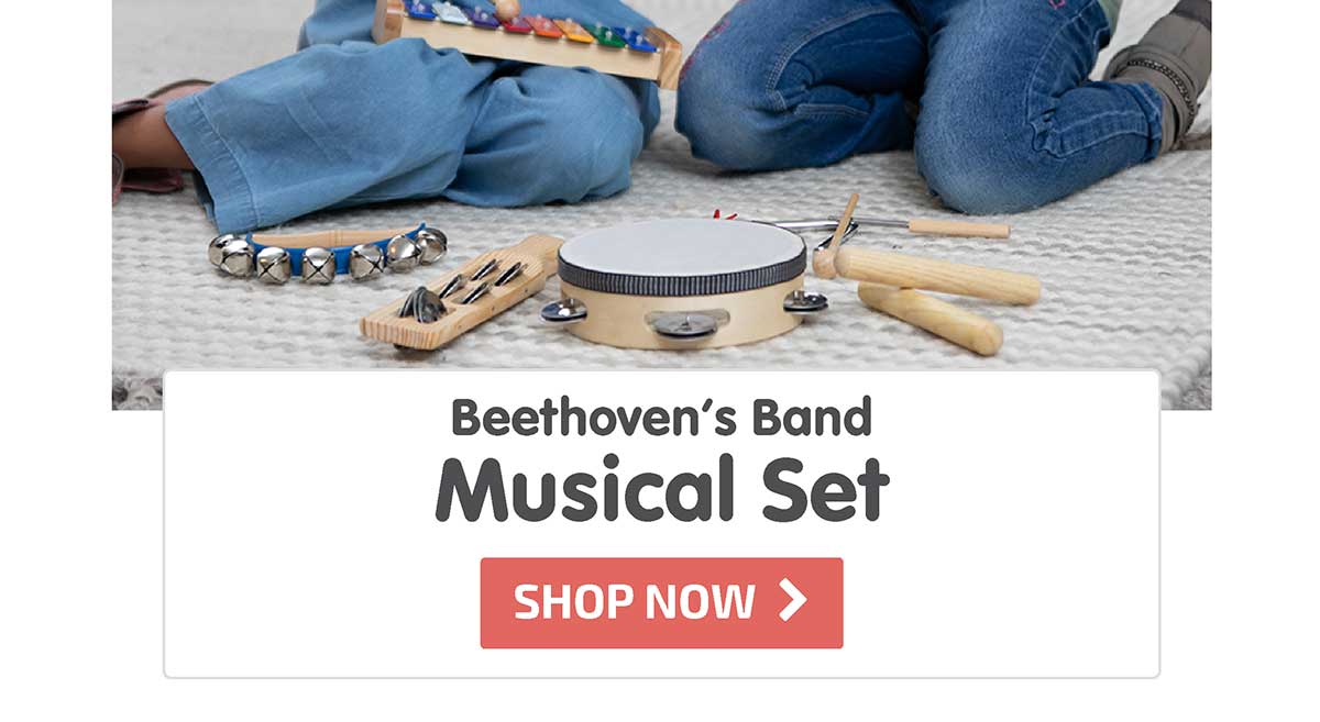 Beethoven's Band Musical Set - Shop Now