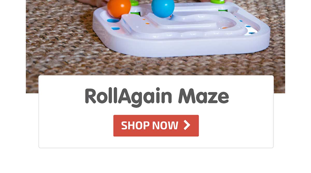 RollAgain Maze - Shop Now
