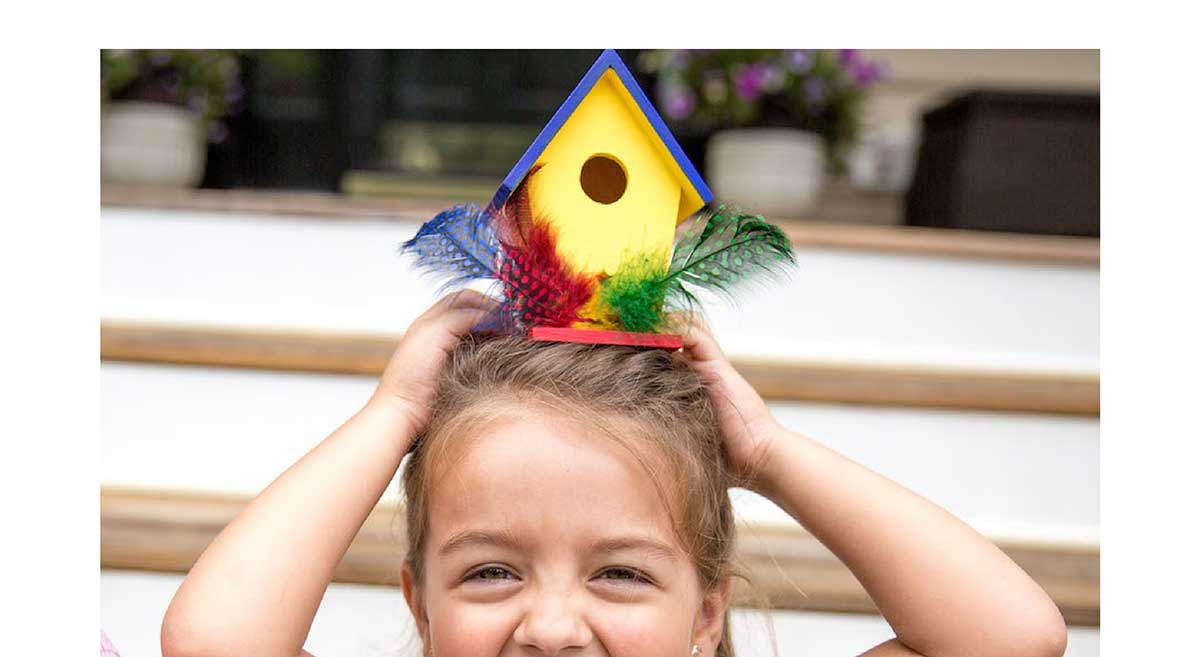 Surprise Ride - Paint a Birdhouse Activity Kit