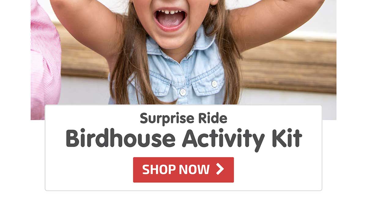 Surprise Ride - Paint a Birdhouse Activity Kit - Shop Now