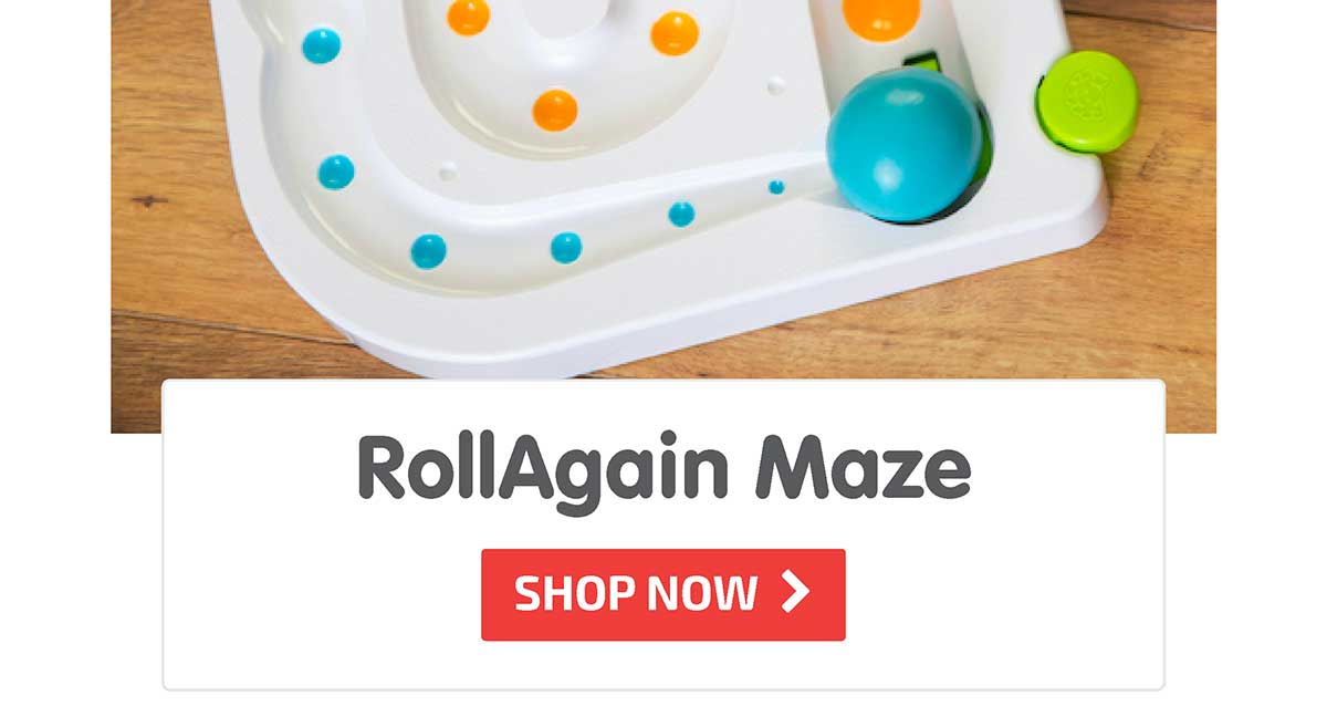 RollAgain Maze - Shop Now