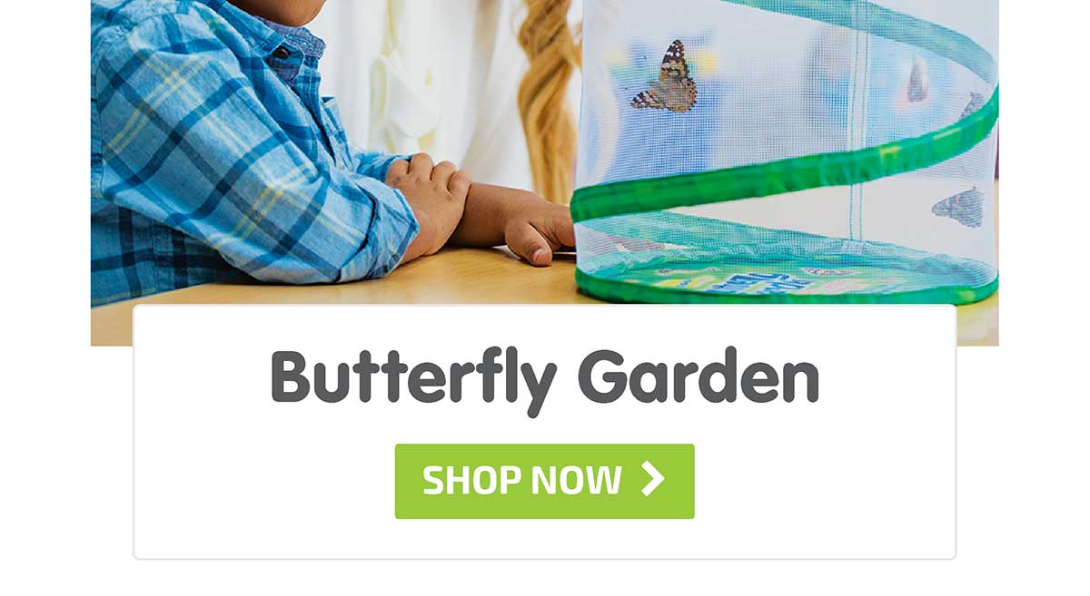 Butterfly Garden - Shop Now