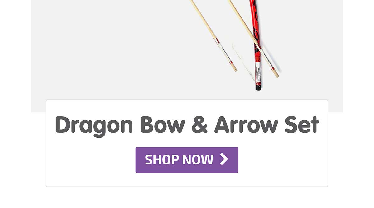 Dragon Bow & Arrows Set with Bulls Eye - Shop Now