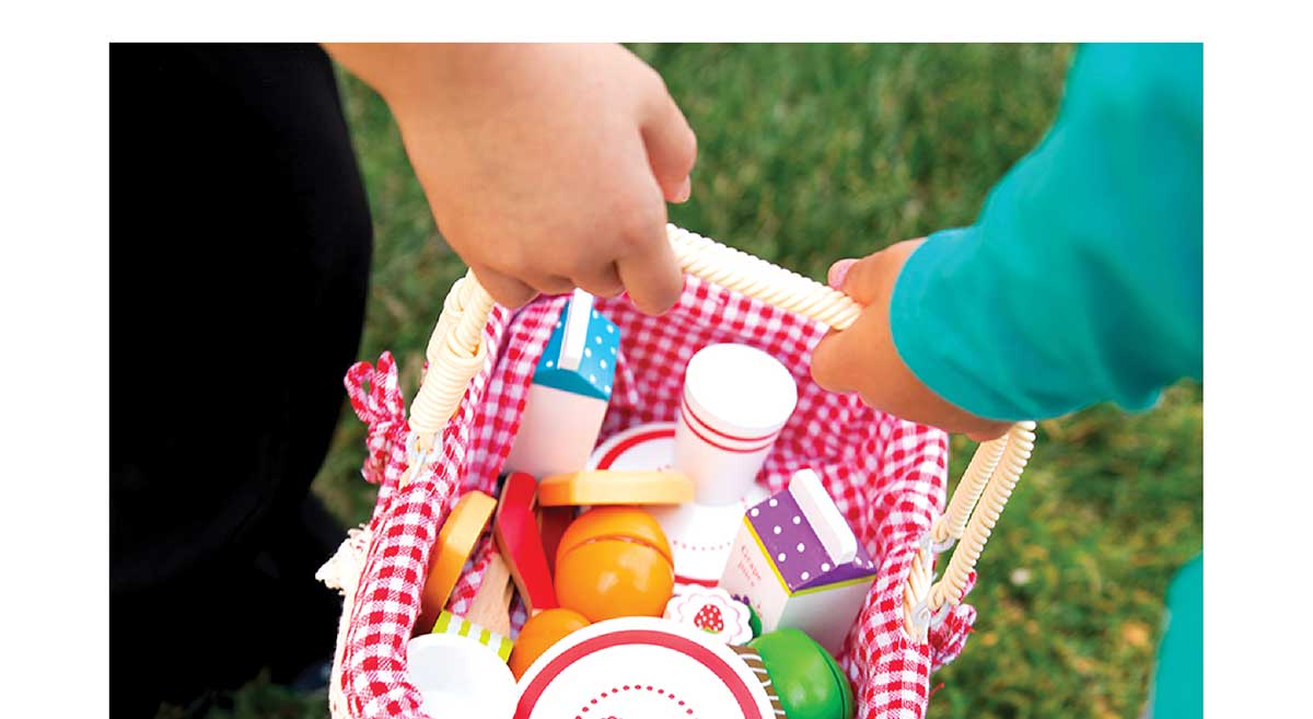 27 Piece Picnic Basket Playset