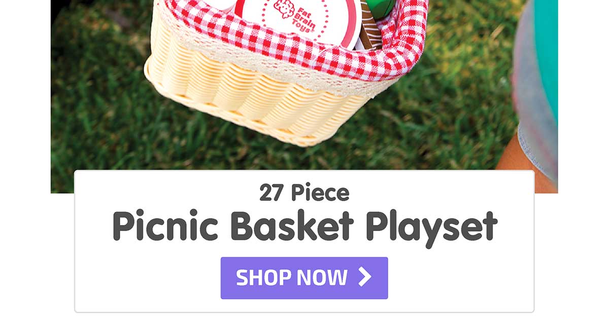 27 Piece Picnic Basket Playset - Shop Now