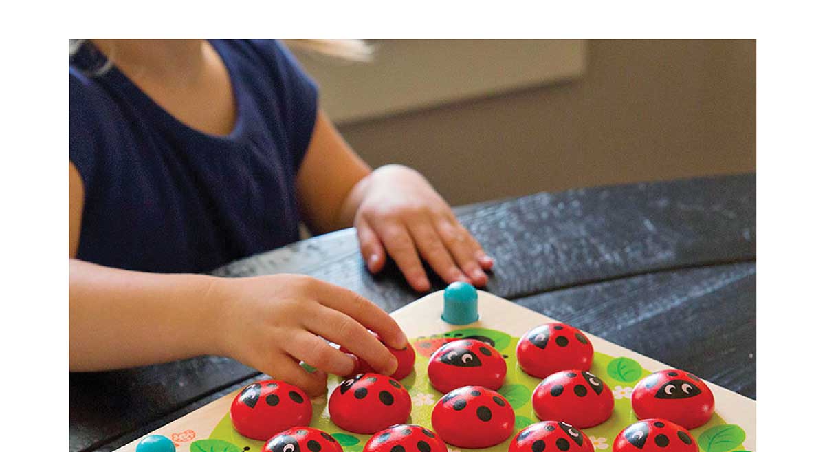 Ladybug's Garden Memory Game