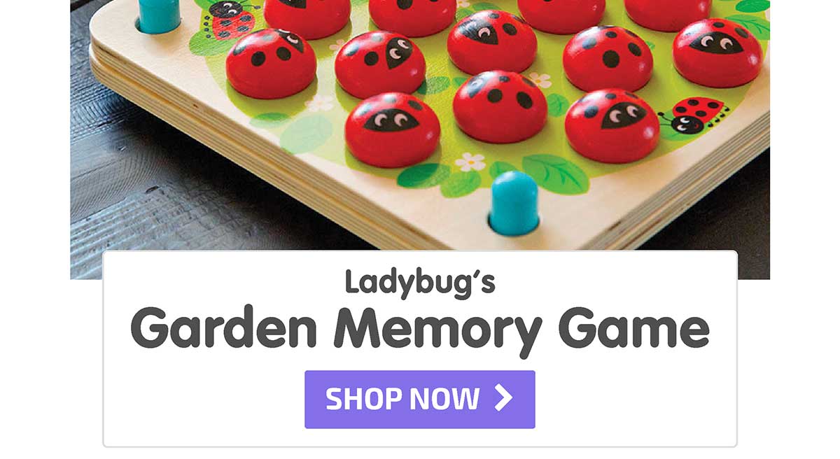 Ladybug's Garden Memory Game - Shop Now