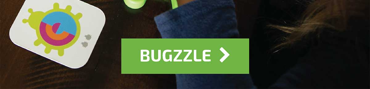 Bugzzle- Shop Now