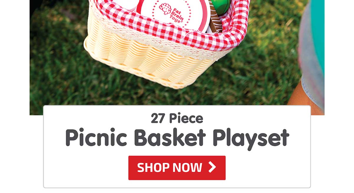 27 Piece Picnic Basket Playset - Shop Now