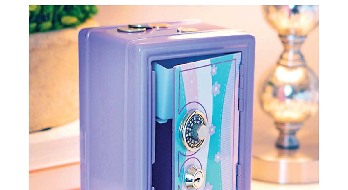 My Treasure Keeper Safe & Bank