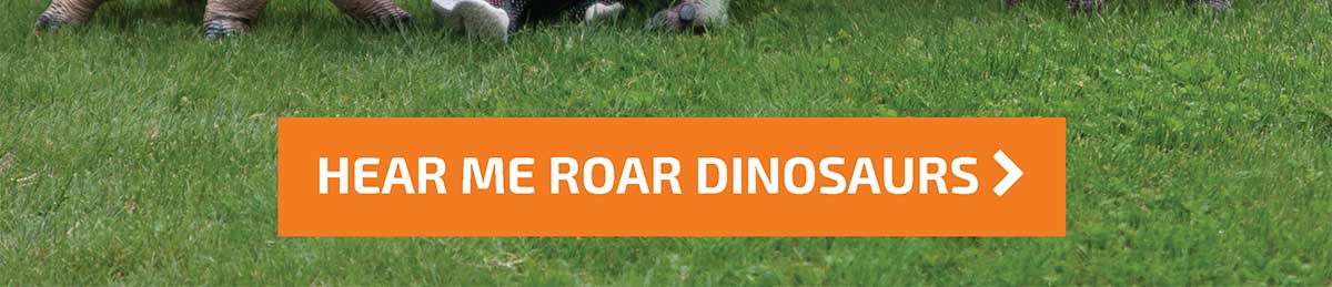Hear Me Roar Dinosaurs - Shop Now
