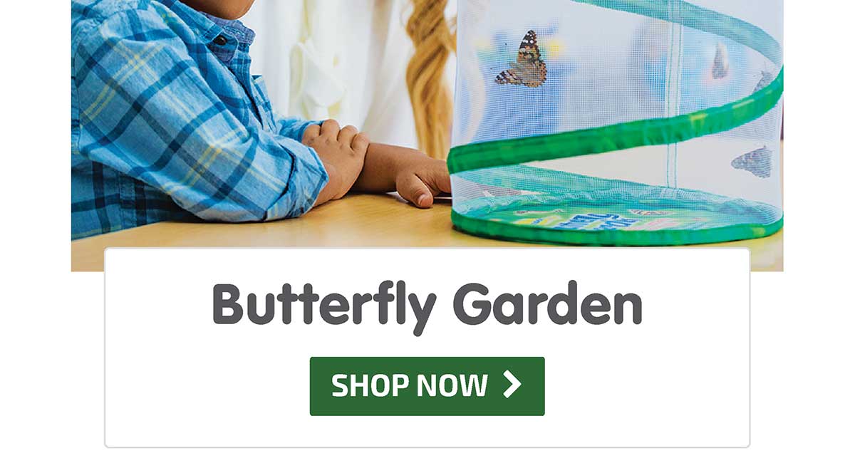 Butterfly Garden - 10% Off - Shop Now