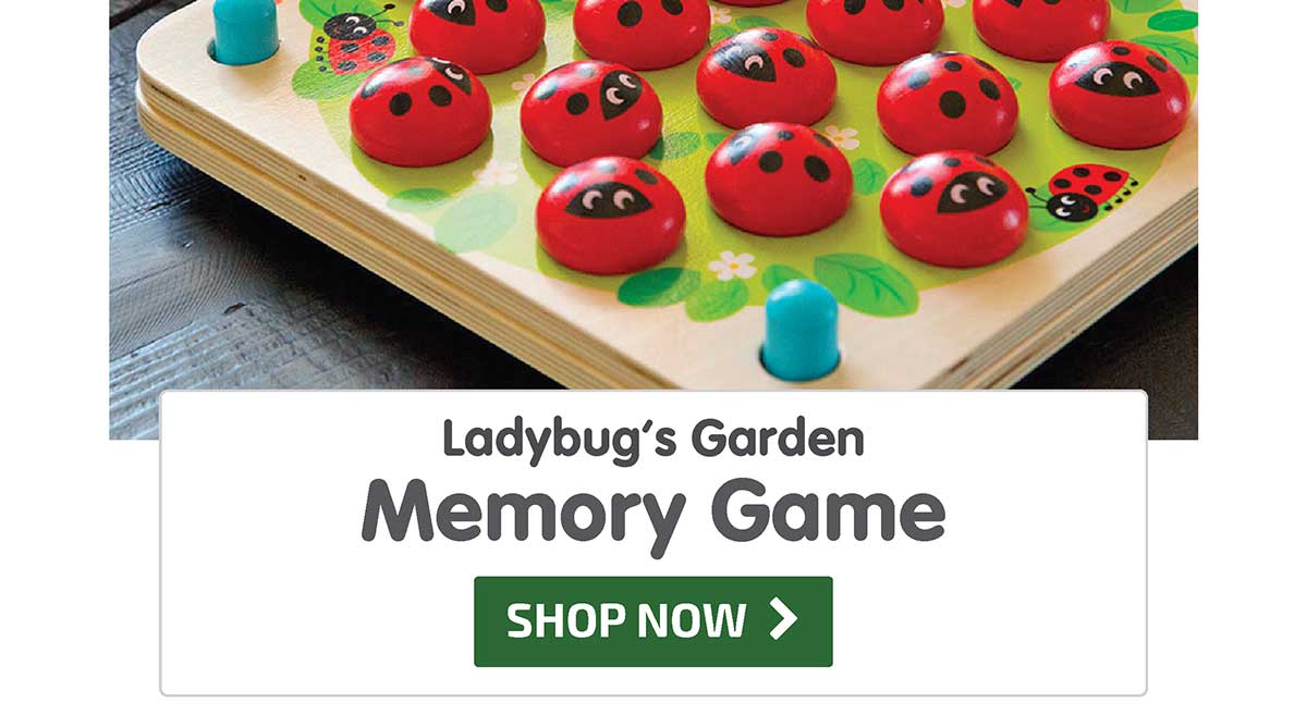 Ladybug's Garden Memory Game - 10% Off - Shop Now