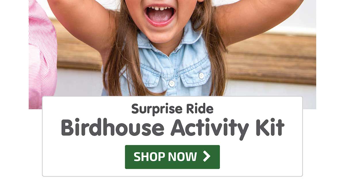Surprise Ride - Paint a Birdhouse Activity Kit - Shop Now