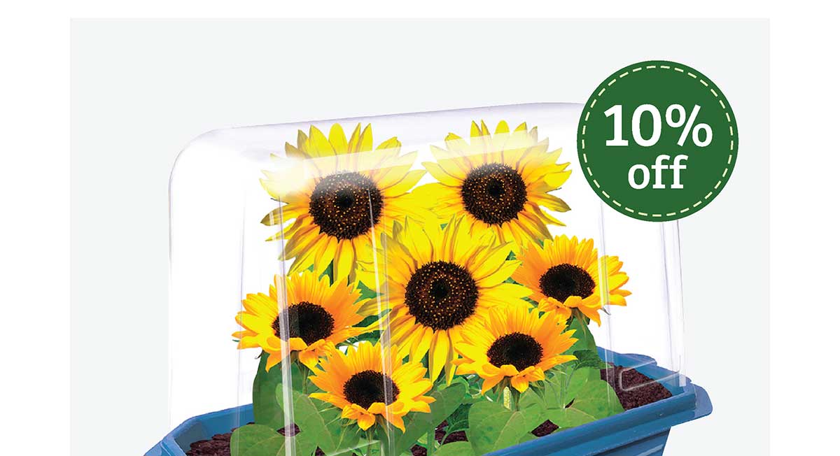 Sprouters Greenhouse - Dwarf Sunflowers - 10% Off