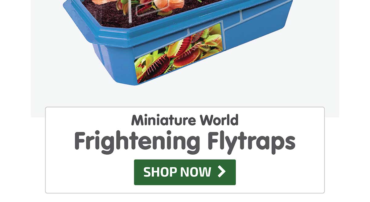 Frightening Flytraps Miniature World - 10% Off - Shop Now