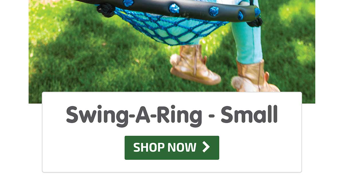 Swing-A-Ring - Small - Shop Now