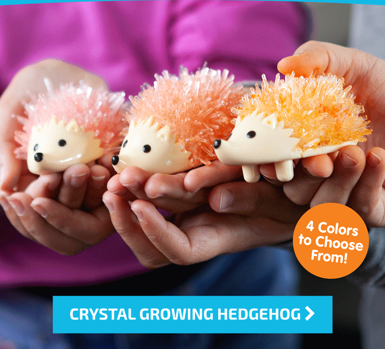 Crystal Growing Hedgehog - Shop Now
