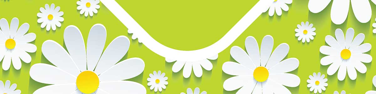 Spring Sale! 10% Off Your Entire Purchase - Shop Now