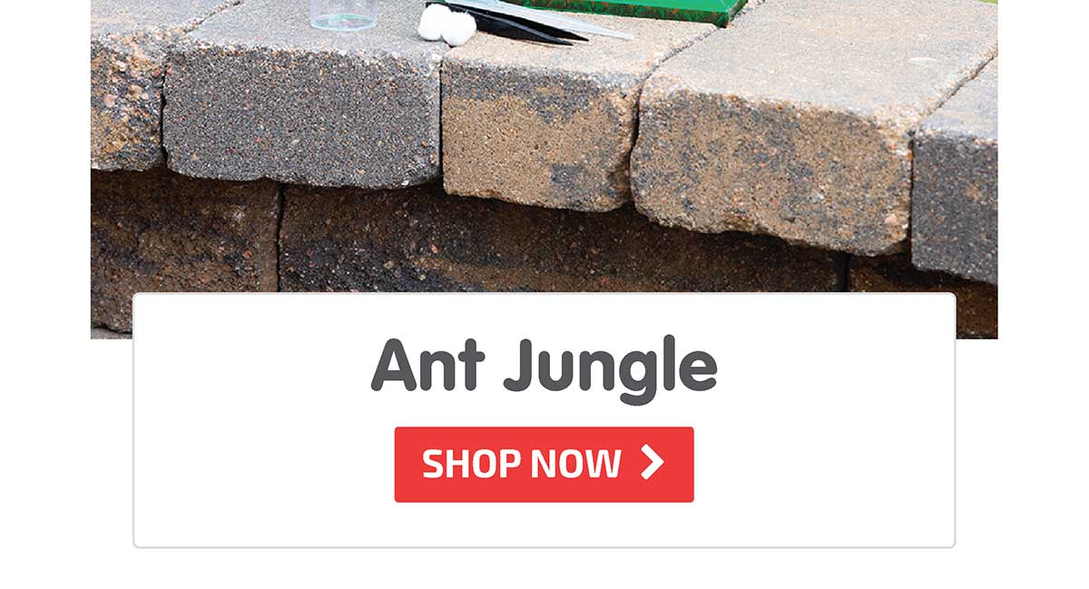 Ant Jungle - Shop Now