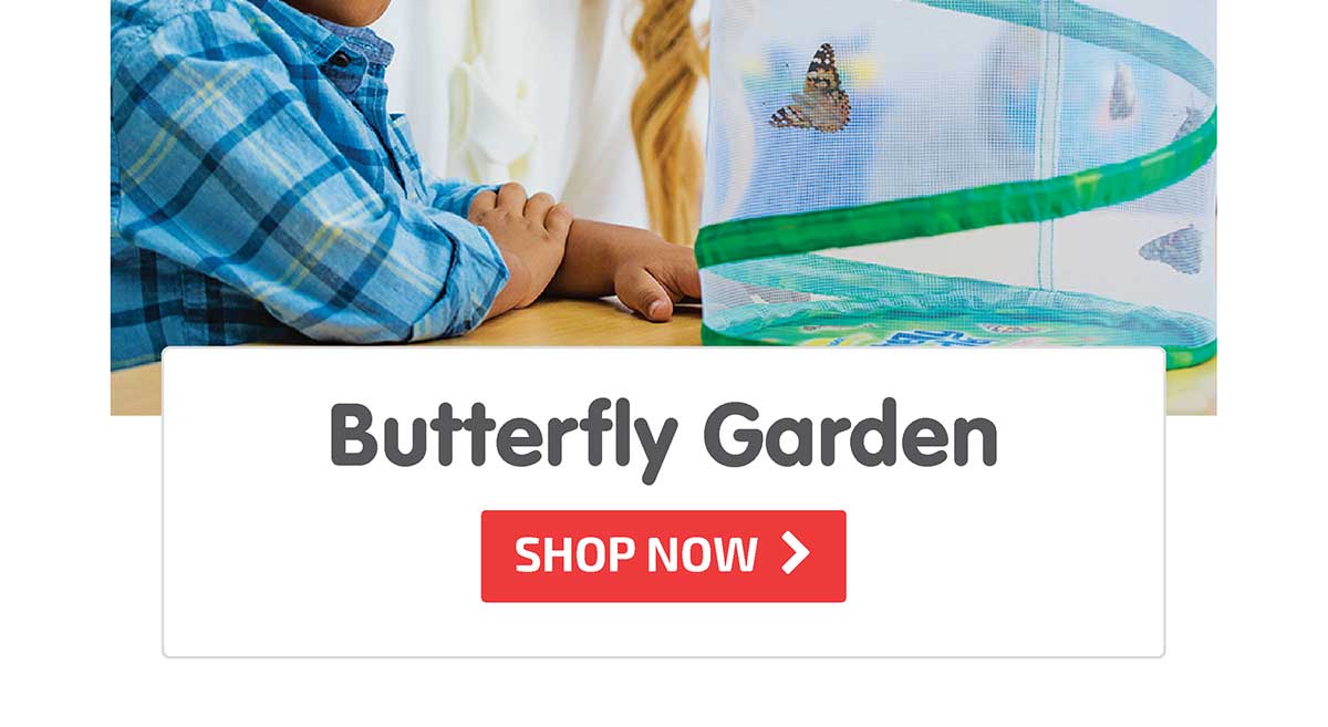 Butterfly Garden - Shop Now