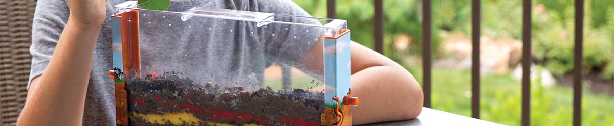 Worm Farm