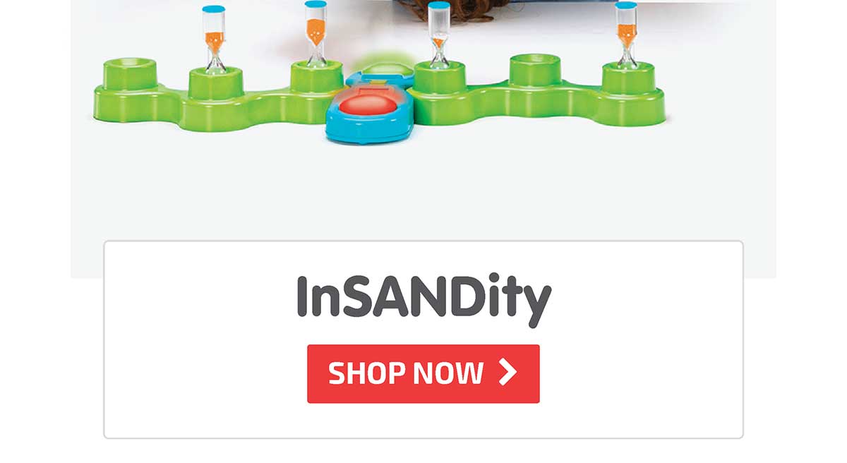InSANDity - Shop Now