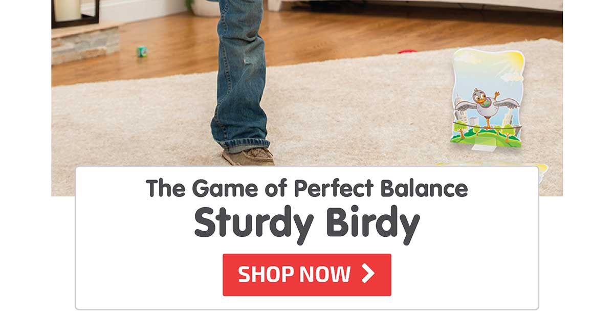 Sturdy Birdy: The Game of Perfect Balance - Shop Now