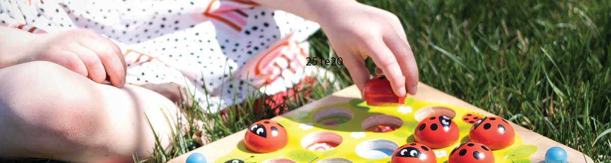 Ladybug's Garden Memory Game
