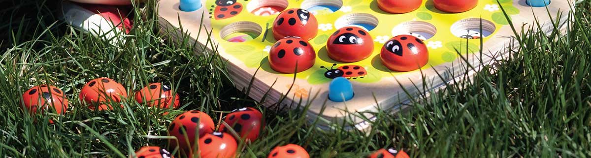 Ladybug's Garden Memory Game