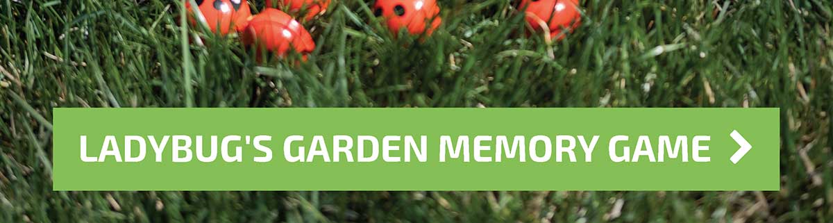 Ladybug's Garden Memory Game