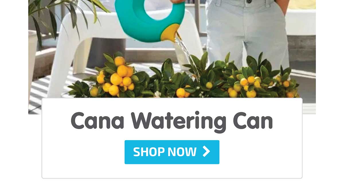 Cana Watering Can Small - Shop Now