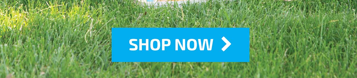 $10 Off On Any Order Of $50 or More! Use Code KN-6825 - Shop Now