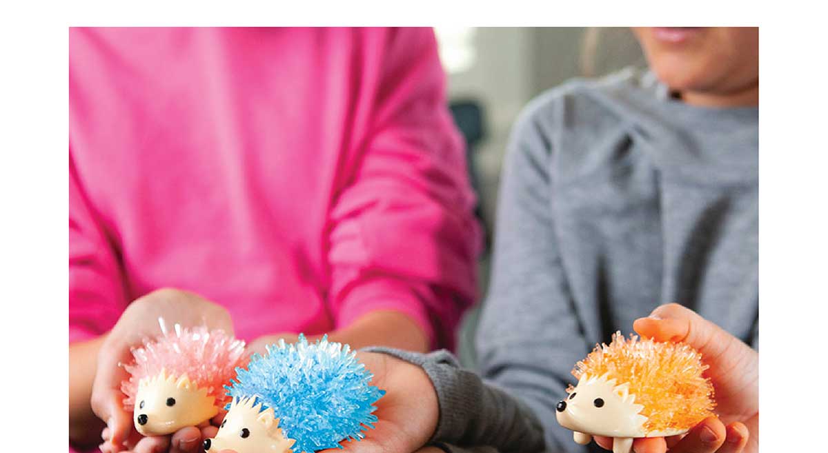 Crystal Growing Hedgehog