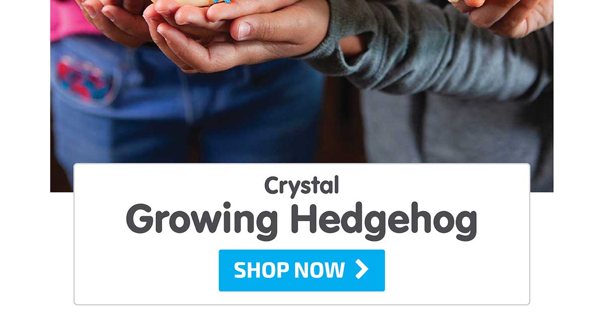 Crystal Growing Hedgehog - Shop Now