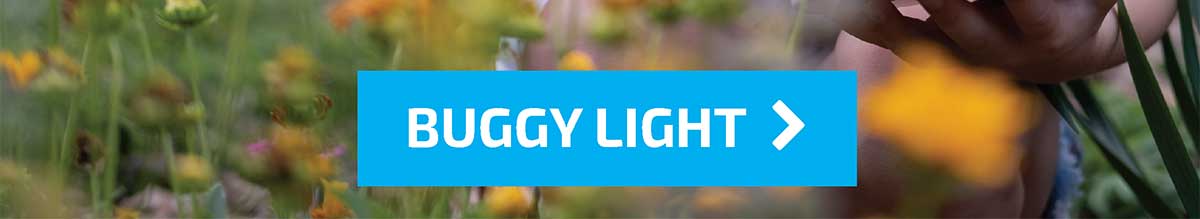 Buggy Light - Shop Now
