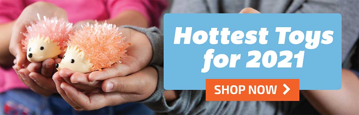 Hottest Toys for 2021