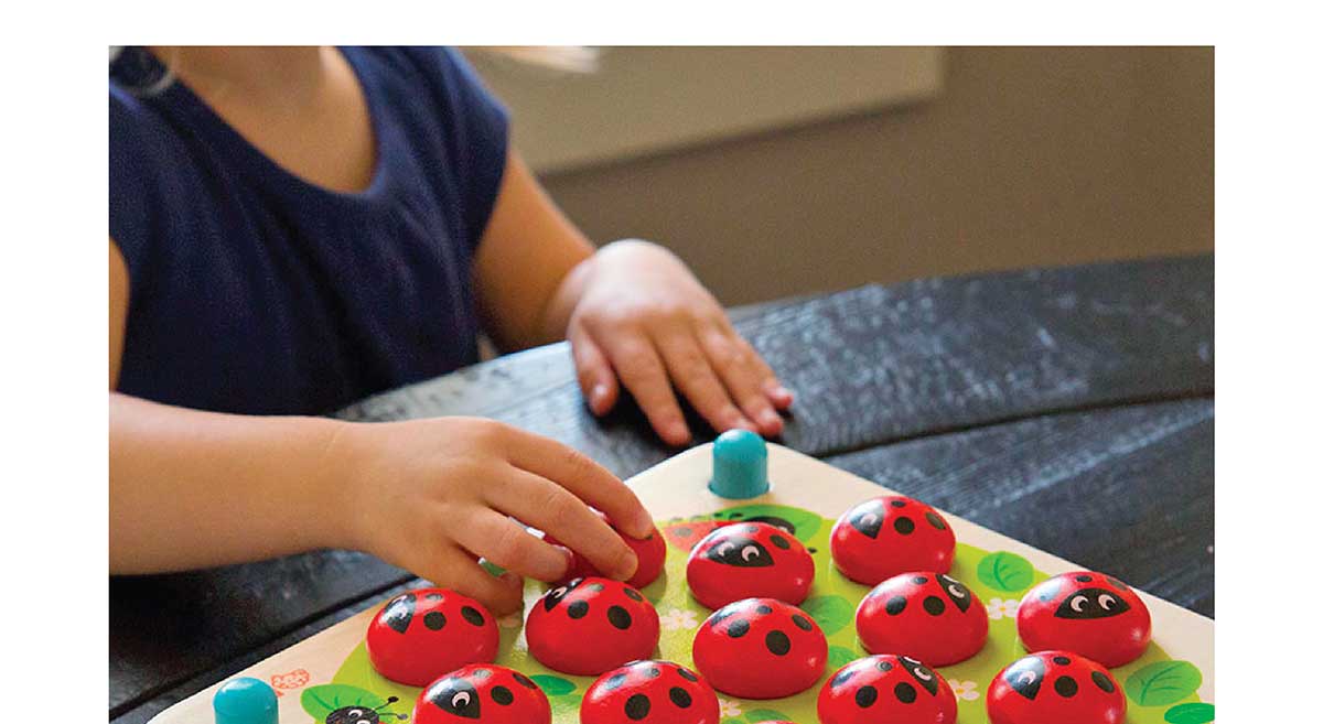 Ladybug's Garden Memory Game