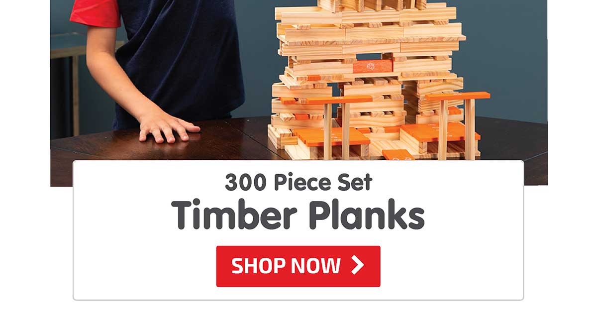 Timber Planks 300 Piece Set - Shop Now