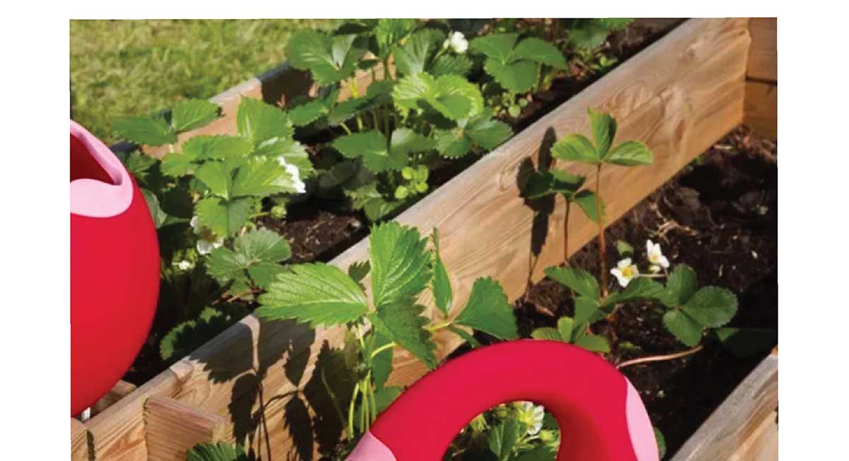 Cana Watering Can Large