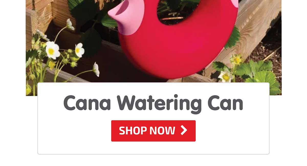 Cana Watering Can Large - Shop Now