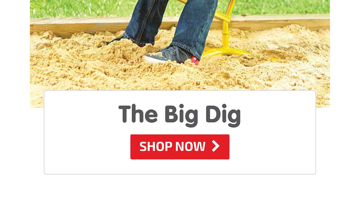 The Big Dig - Shop Now