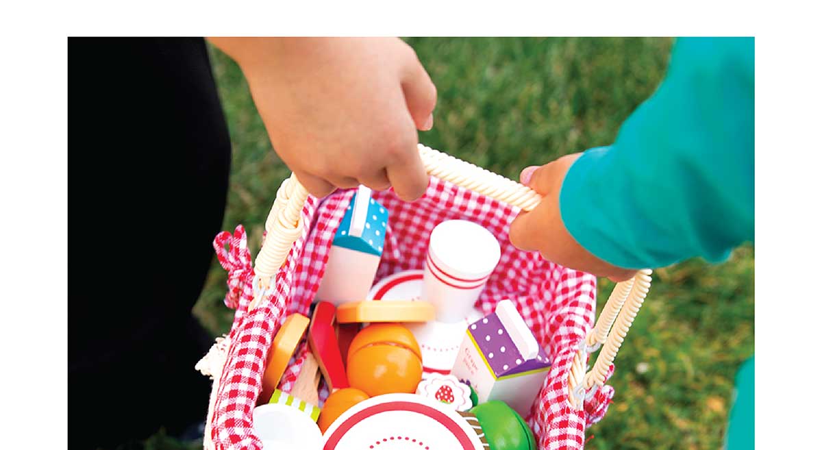 27 Piece Picnic Basket Playset