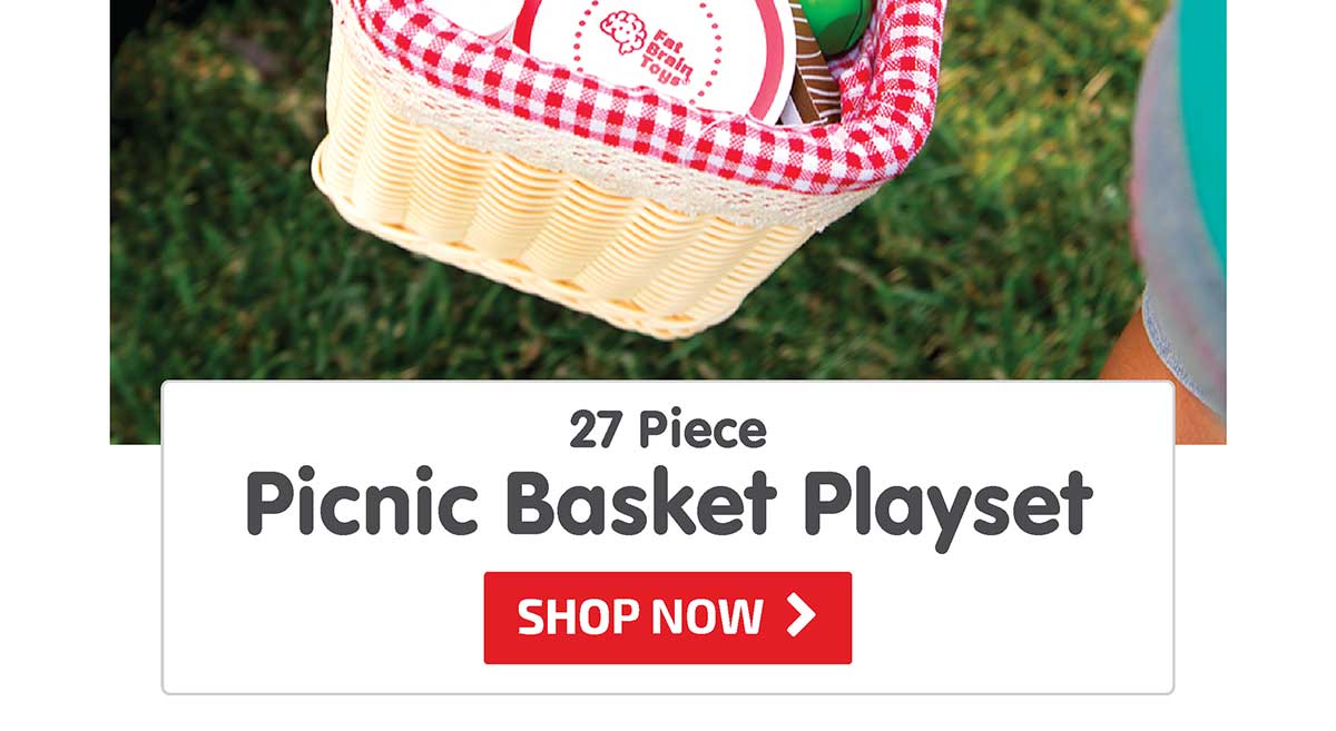 27 Piece Picnic Basket Playset - Shop Now