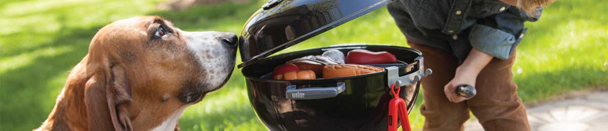 My Backyard Toy Weber Grill