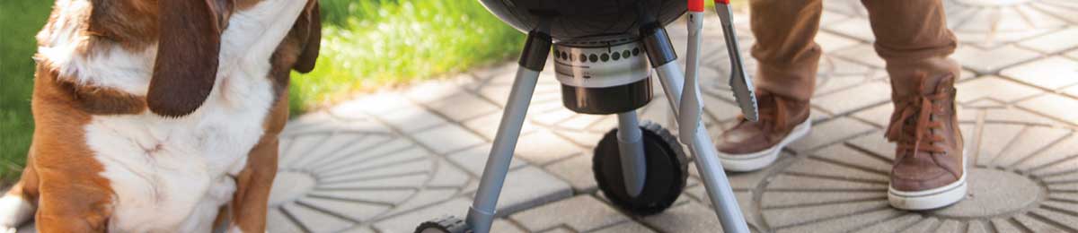 My Backyard Toy Weber Grill