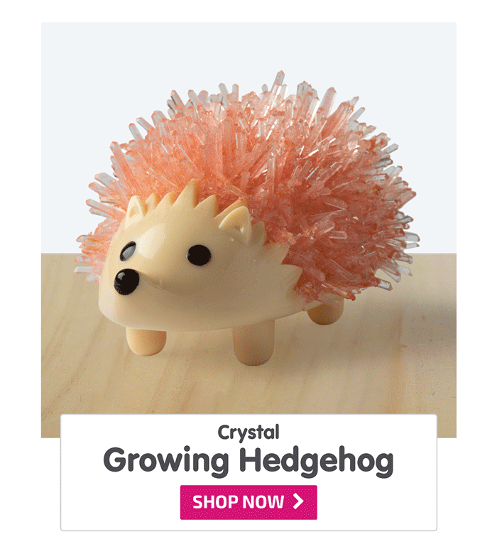 Crystal Growing Hedgehog