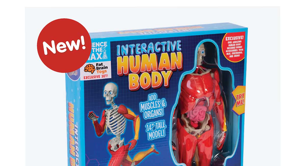 Our Amazing Human Body