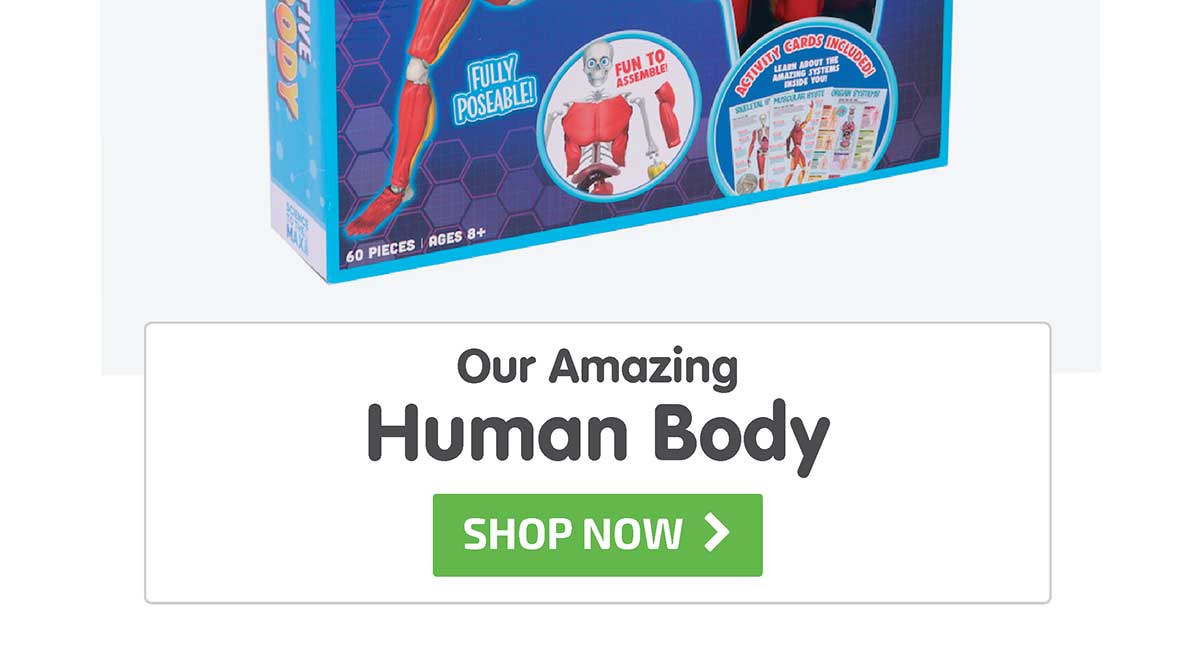 Our Amazing Human Body - Shop Now